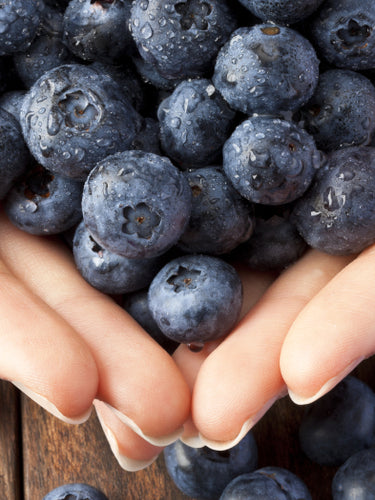 Open hands holding blueberries on a wood background with more blueberries